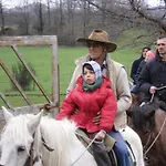 Bed and breakfast La Culla Dei Castelli Romani 3*
