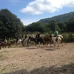 La Culla Dei Castelli Romani Bed and breakfast 3*