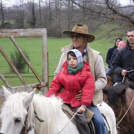 Alojamento de Acomodação e Pequeno-almoço La Culla Dei Castelli Romani 4*