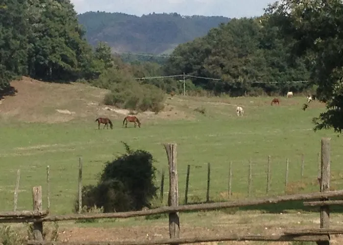 La Culla Dei Castelli Romani 4* Velletri