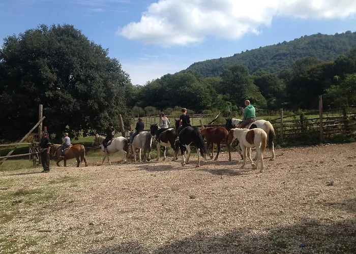 La Culla Dei Castelli Romani Bed and Breakfast 4*